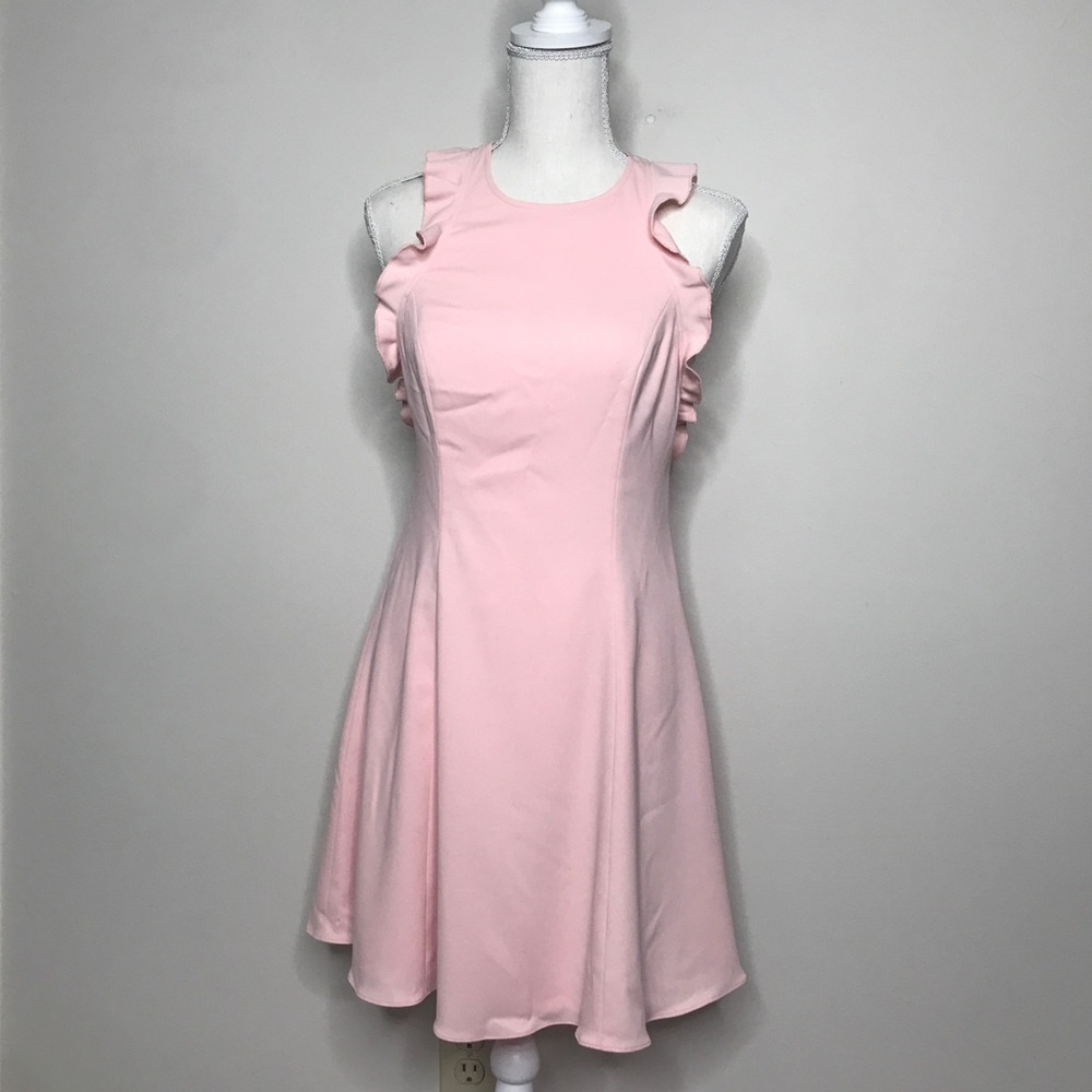 ✨NWT✨ JAYGODFREY Blush Ruffle Sleeveless Dress 2